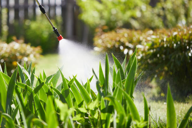 24/7 Emergency Wasp Removal experts in El Portal, FL