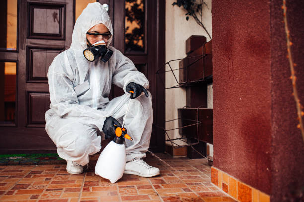 Reliable Wasp Removal contractor in El Portal, FL by Show Me Pest Control